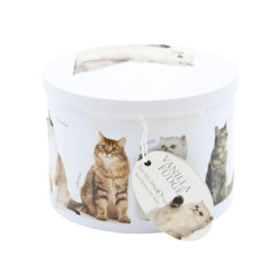 GALLETAS VANILLA FUDGE LATA GATETES