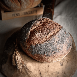 CENTENO ALEMAN CON AMAPOLA